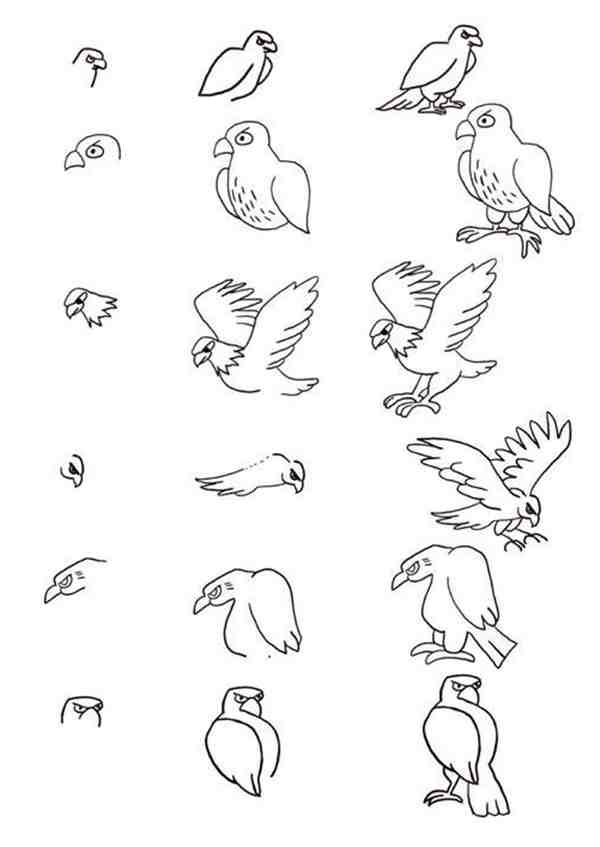 一步一步教我画鹏的图片霸气又简单