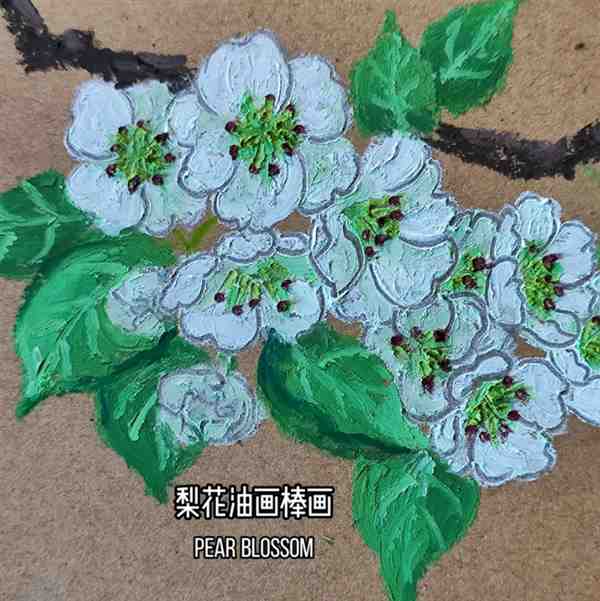 一步一步教我画梨花 梨花油画棒教程图片大全