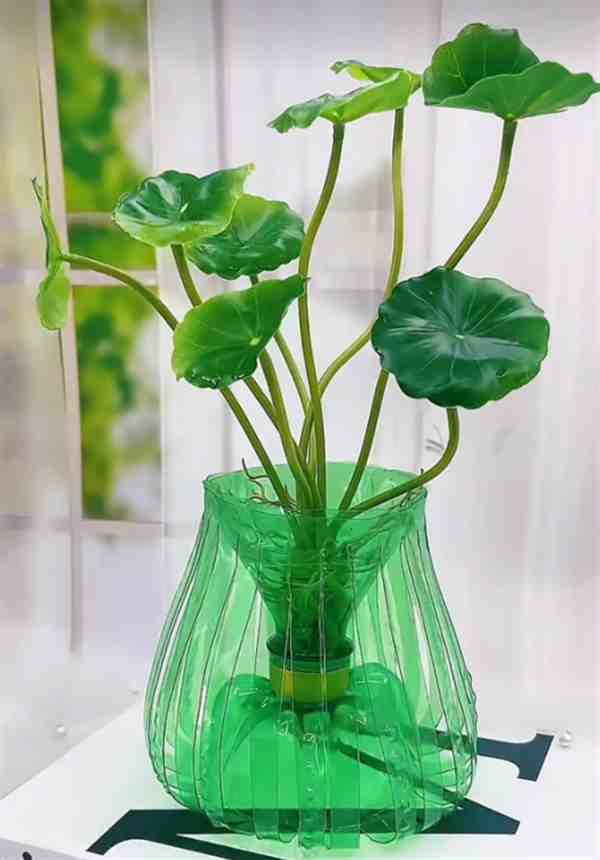 变费为宝手工制作大全图片(水培绿植花瓶)