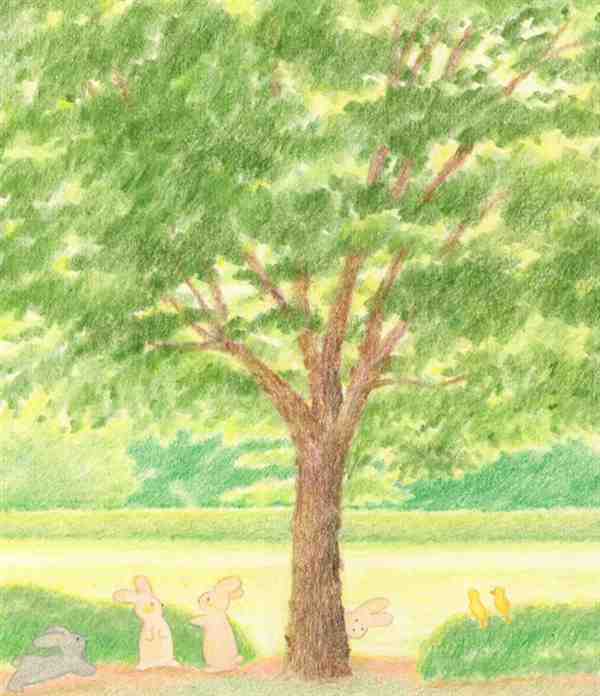 春天风景画彩铅图片大全分享欣赏