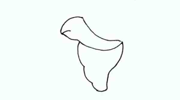 白玉兰的画法一步一步怎么画图片大全