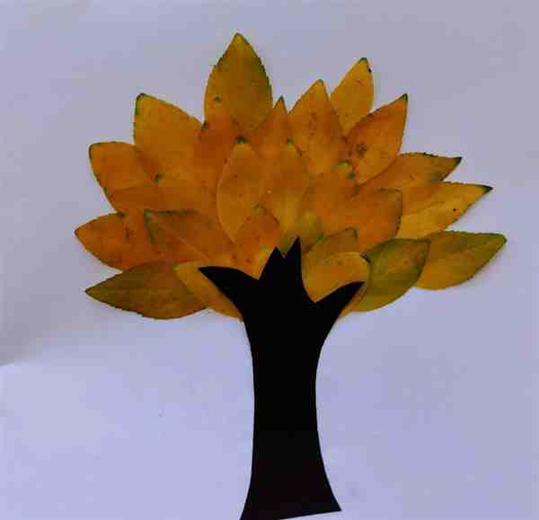手工树叶画: 用树叶拼一棵树一步一步怎么拼