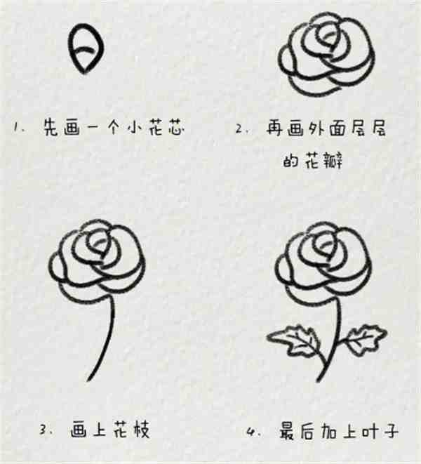 最简单的画玫瑰花方法图片最新分享
