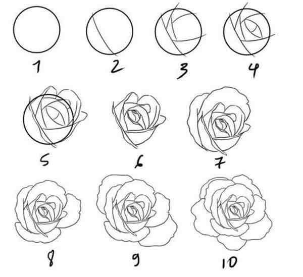 最新简单的画玫瑰花教程图片大全