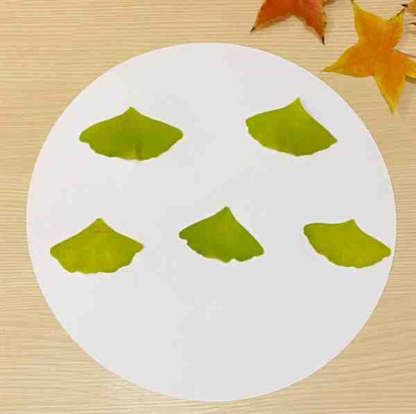 幼儿手工:树叶拼图简单又好看(小雨伞)