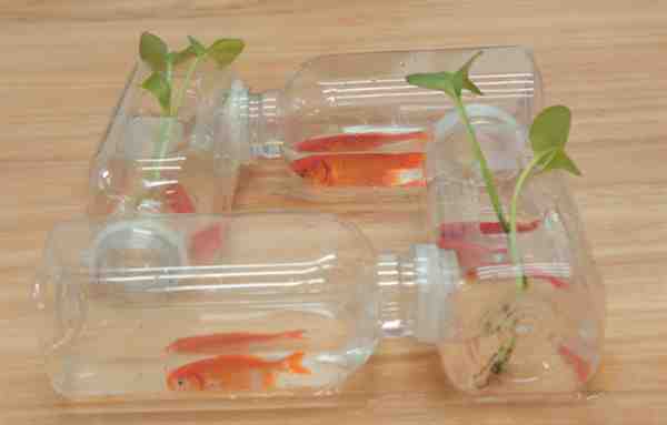 精选自制鱼缸水瓶图片大全大图