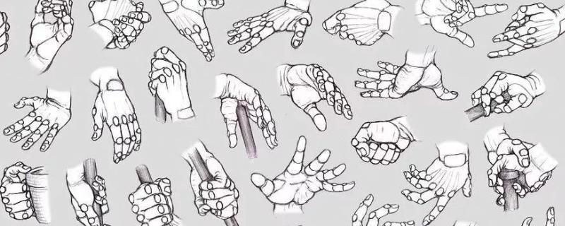 插画新手如何会画手指，首先要了解手部结构