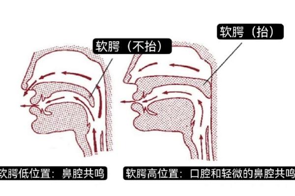 顶起软腭的方法，采用打哈欠的方式既简单又有效