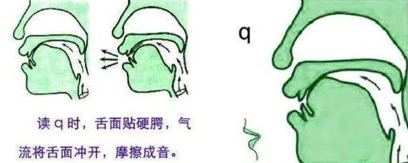 纠正尖音的发音方式，掌握j、q、x的发音部位和发音方法