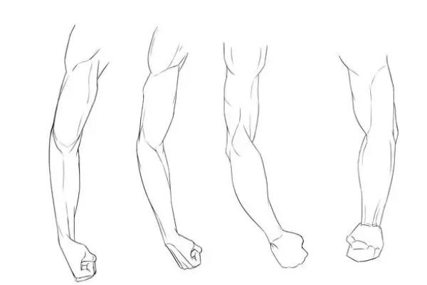 插画怎么画男性手臂肌肉才好看，要准确绘制骨骼结构、用二分阴影的画法绘制肌肉