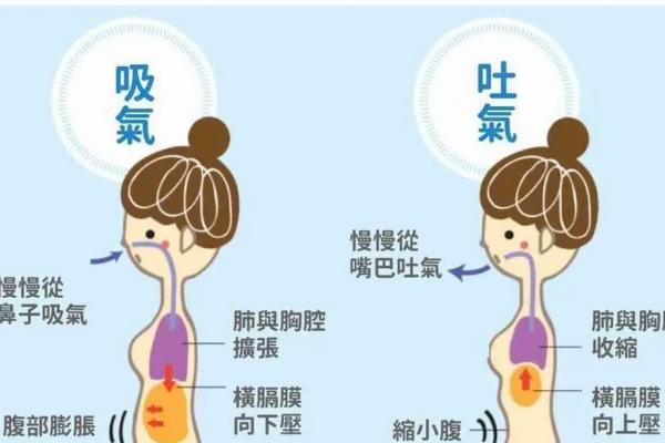 播音主持的基本功，包括声音、形象和表情管理练习