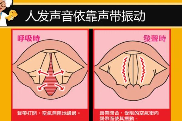 怎么说话才能变得硬气，可采用胸腹式联合呼吸