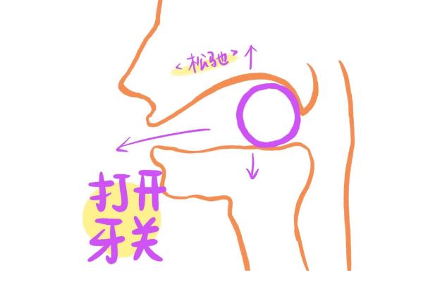 口腔打不开如何训练，可提颧肌、打牙关、挺软腭等