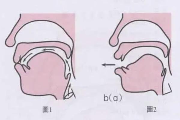 嘴巴发音太扁怎么处理，可以选择鼻腔共鸣