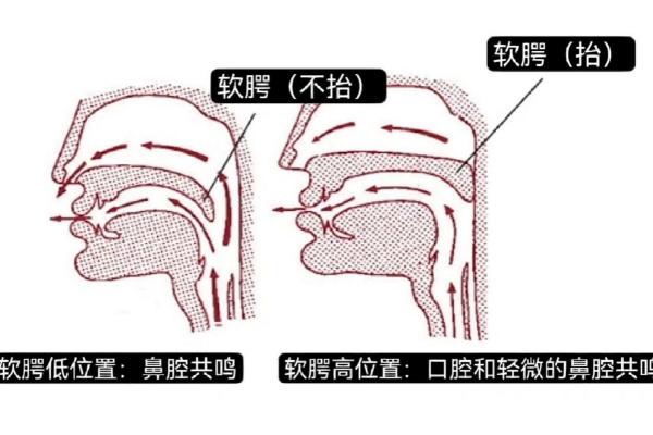 男伪女怎么才能把声音变实，首先需要了解男声和女声的区别