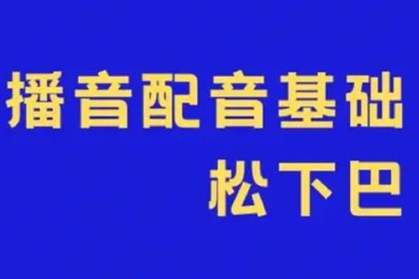 旁白配音类型，分为欢快型、甜美型和居家型等