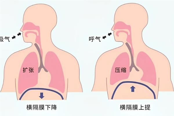 怎么有磁性地朗读，可以将自己的发声位置适当的往后