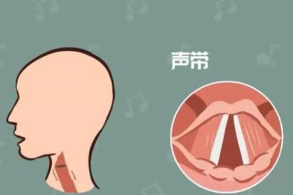 什么是虚实音，是一种声音的变化