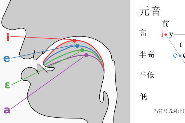 什么是虚实音，是一种声音的变化