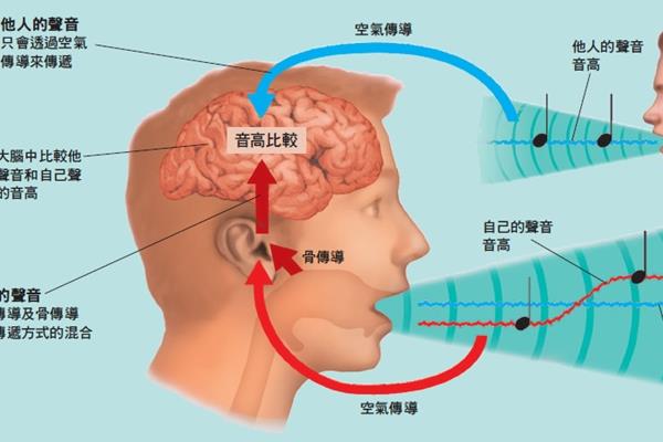 怎样让声音变得温柔好听，语气和语调都走平调甚至低调