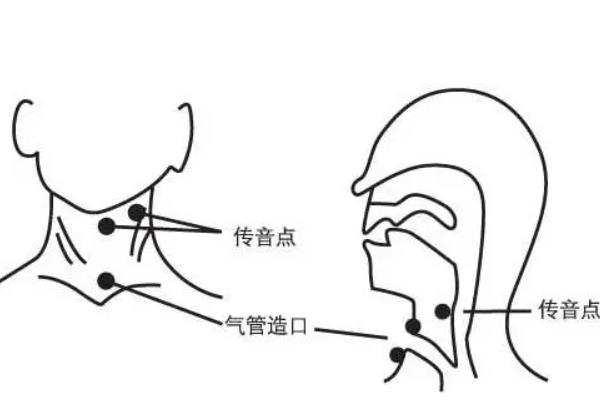 什么是虚实音，是一种声音的变化