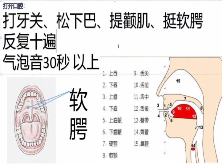 怎样让说话声音好听，首先要了解发声共鸣的位置