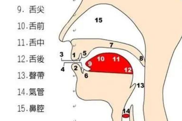 奶狗音怎么发出来，要尽量用丹田之气发声