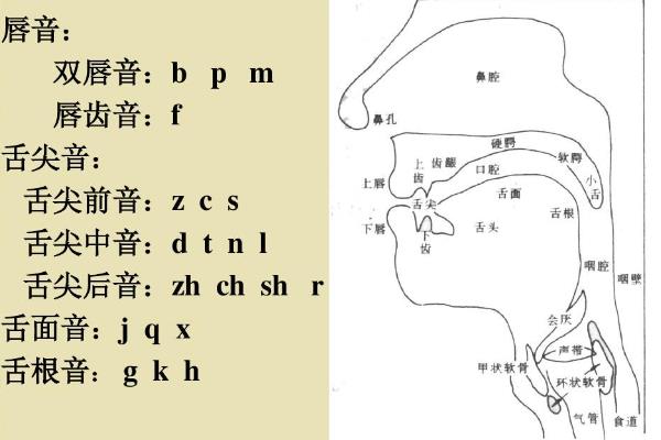 普通话发音不标准怎么办，找到准确的发音方法