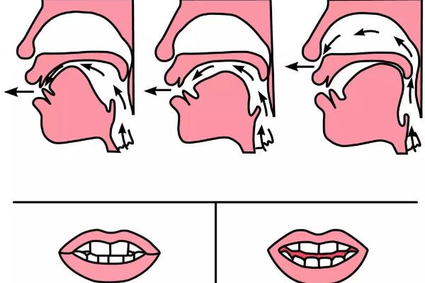 纠正nl发音的方法，发n音需尽量闭嘴、发l音需尽量张开嘴巴