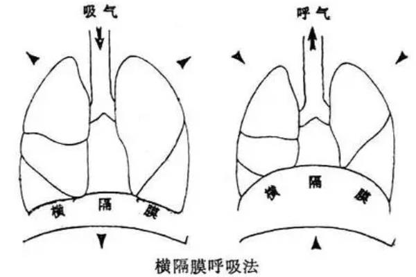 音色怎么改变，可以通过改变发声部位来改变音色